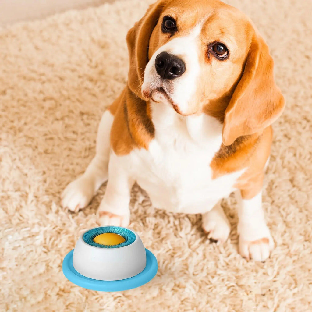 Interactive Dog Treat Puzzle – Slow Feeder & Enrichment Toy