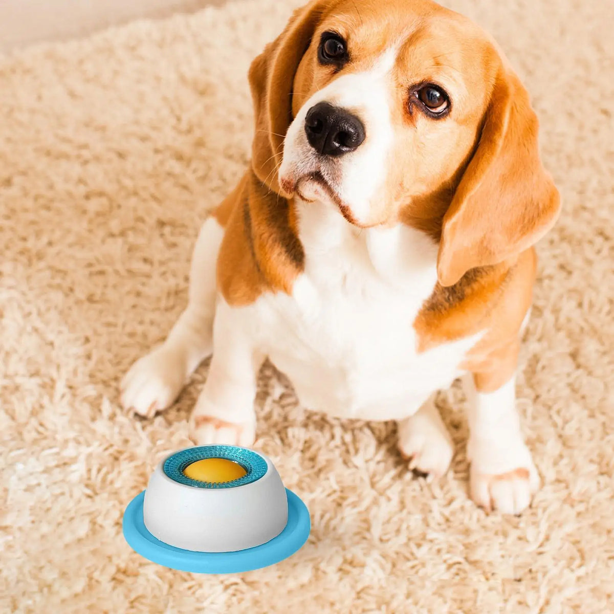 Interactive Dog Treat Puzzle – Slow Feeder & Enrichment Toy