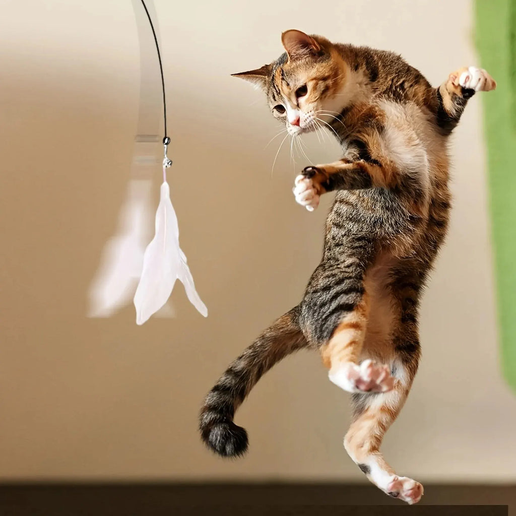 Interactive Cat Teaser Wand – Suction Cup Feather Toy