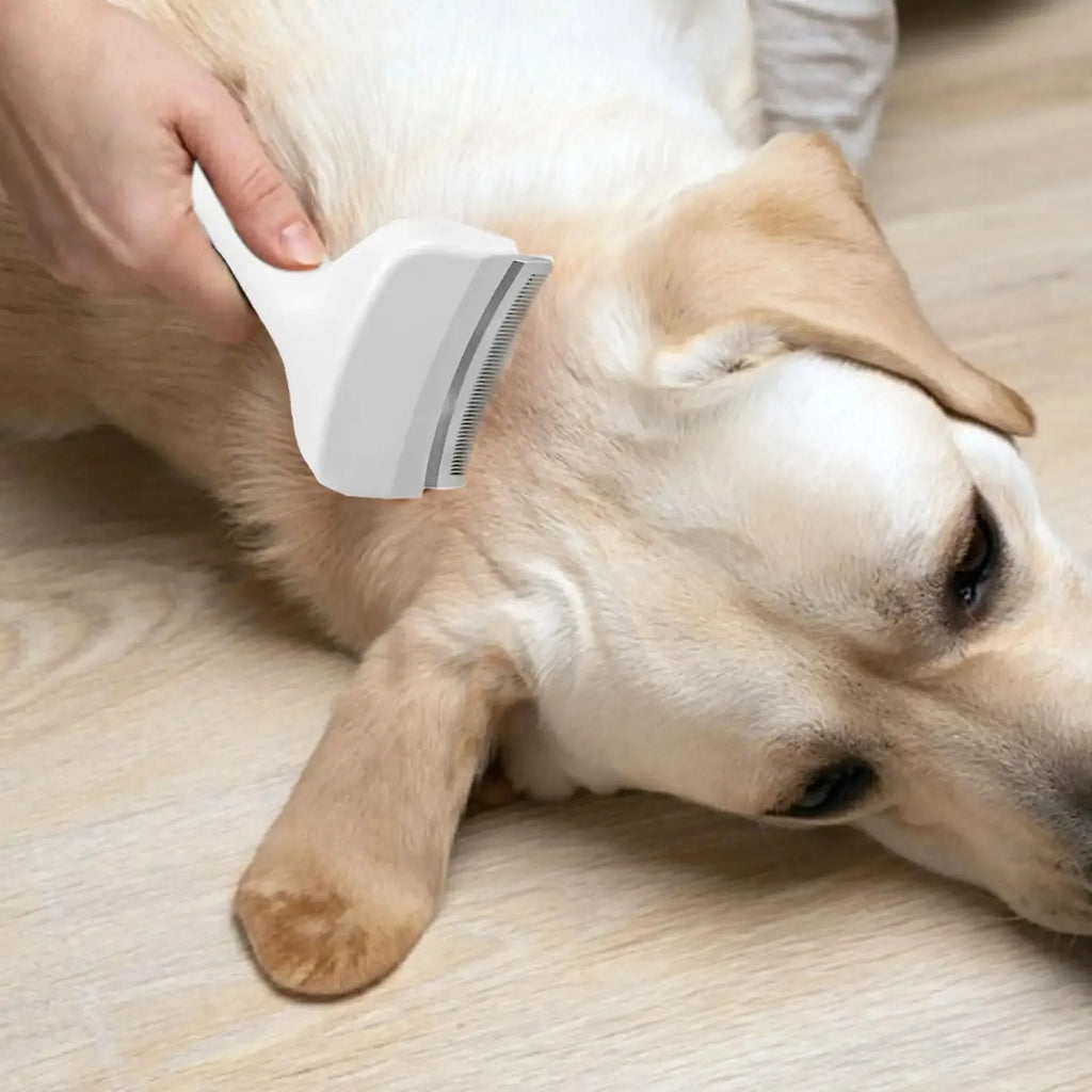 Self-Cleaning Deshedding Brush for Dogs & Cats