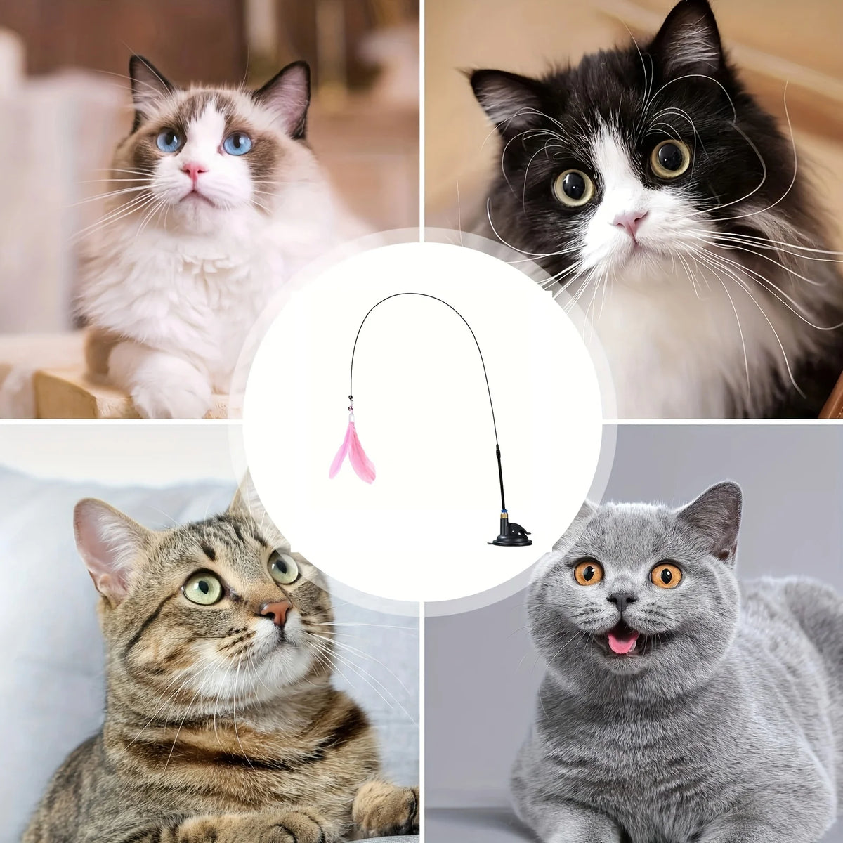 Interactive Cat Teaser Wand – Suction Cup Feather Toy
