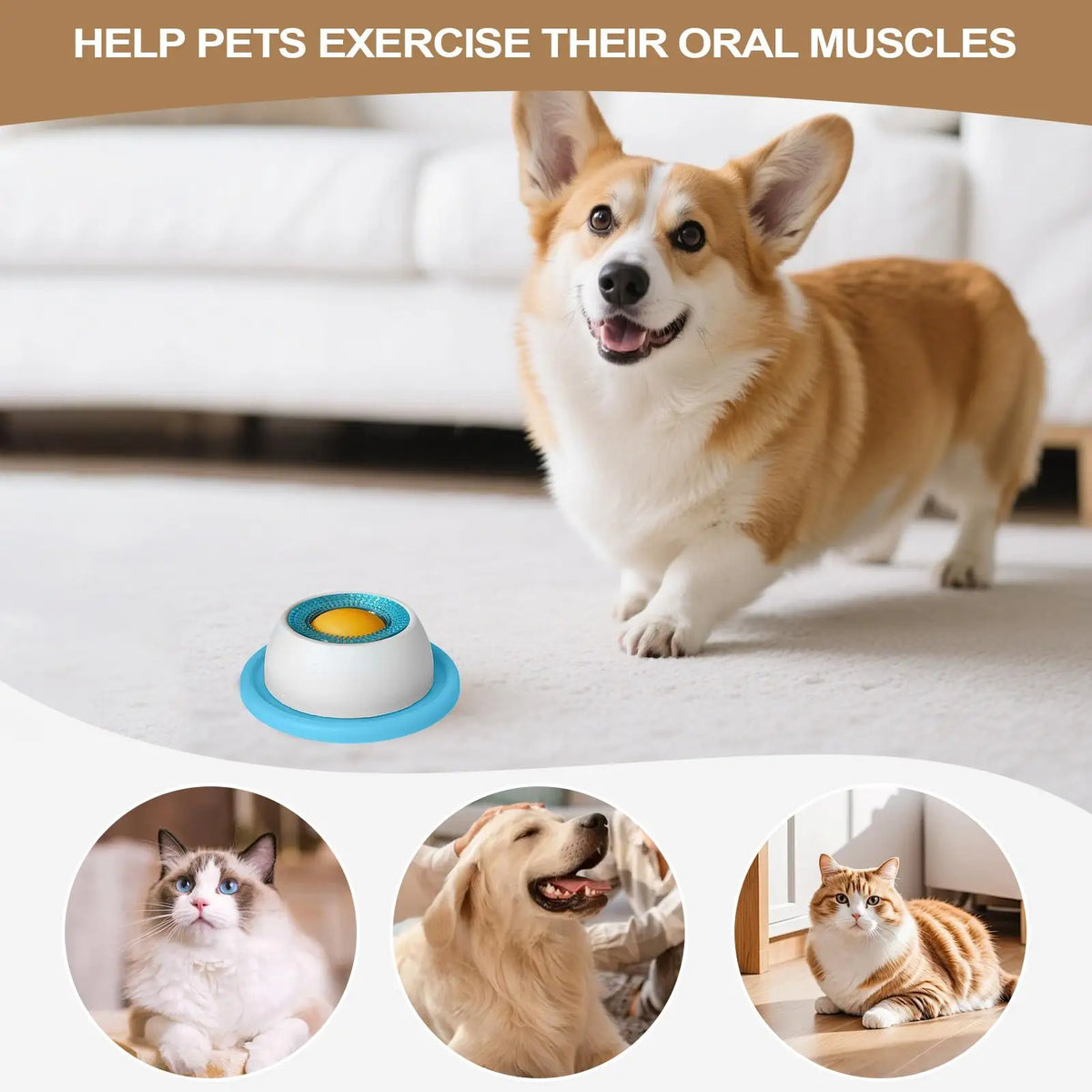 Interactive Dog Treat Puzzle – Slow Feeder & Enrichment Toy
