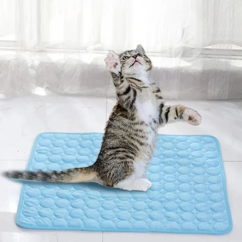 Pet Cooling Mat for Dogs & Cats – Summer Sleeping Pad